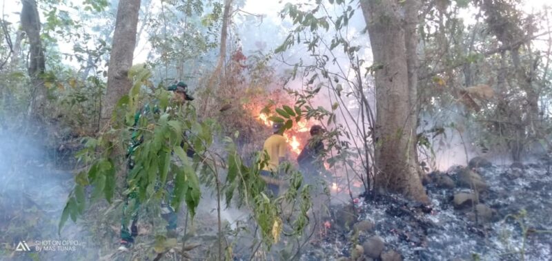 Personel melakukan upaya pemadaman di Desa Mategal dan Giripurno, Kabupaten Magetan, Provinsi Jawa Timur Rabu (19/8). (BPBD Jatim)