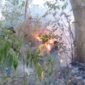 Personel melakukan upaya pemadaman di Desa Mategal dan Giripurno, Kabupaten Magetan, Provinsi Jawa Timur Rabu (19/8). (BPBD Jatim)