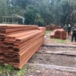 Tumpukan kayu olahan sekitar 60 meter kubik di lokasi. Kayu tersebut diduga berasal dari aktivitas pembalakan liar. (Foto: Kemenhut)