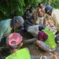 Penanganan kerusakan Daerah Irigasi (D.I) pertanian pascabanjir di Kota Padang. (Foto: Pemko Padang)