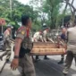 Petugas Satpol PP Padang menertibkan PKL yang berjualan di fasilitas umum, Kamis (20/8/2026). (Foto: Satpol PP Padang)
