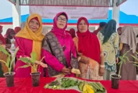 Pengabdian Masyarakat UIN Batusangkar dan UIN Imam Bonjol untuk lansia di Padang Sarai. (Foto: Pemko Padang)