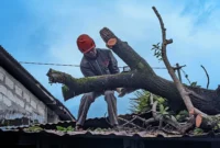 Personel BPBD Padang mengevakuasi material pohon tumbang. (Foto: Pemko Padang)