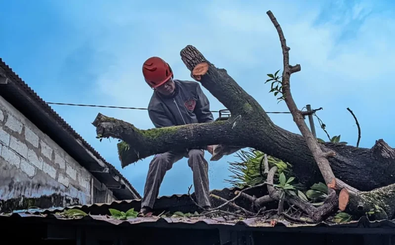 Personel BPBD Padang mengevakuasi material pohon tumbang. (Foto: Pemko Padang)