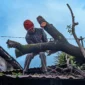 Personel BPBD Padang mengevakuasi material pohon tumbang. (Foto: Pemko Padang)