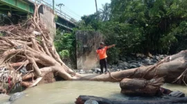 Pohon berukuran besar tersangkut di bawah jembatan SMAN 14 Padang dan menghambat akses aliran Sungai Batang Aro di Kelurahan Batu Gadang, Kecamatan Lubuk Kilangan, Sabtu (22/8/2026). (Foto: BPBD Padang)