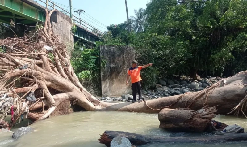 Pohon berukuran besar tersangkut di bawah jembatan SMAN 14 Padang dan menghambat akses aliran Sungai Batang Aro di Kelurahan Batu Gadang, Kecamatan Lubuk Kilangan, Sabtu (22/8/2026). (Foto: BPBD Padang)