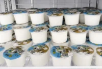 Produksi susu BBPTUHPT Baturraden. (Foto: Ditjen PKH Kementan)