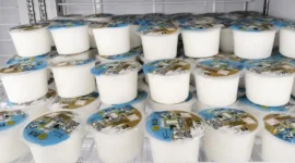 Produksi susu BBPTUHPT Baturraden. (Foto: Ditjen PKH Kementan)