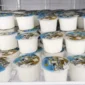 Produksi susu BBPTUHPT Baturraden. (Foto: Ditjen PKH Kementan)