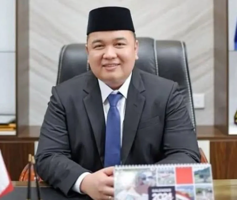 Wakil Ketua DPRD Sumbar, Nanda Satria. (Foto: Ist)