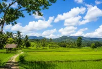 Ilustrasi cerah berawan. (Foto: AI Generated)