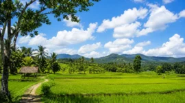 Ilustrasi cerah berawan. (Foto: AI Generated)