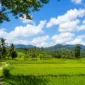 Ilustrasi cerah berawan. (Foto: AI Generated)