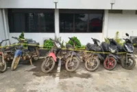 Polres Sijunjung mengamankan tujuh motor dan seorang pria dalam Operasi Jaran 2026 terkait dugaan kasus curanmor. (Foto: Polda Sumbar)