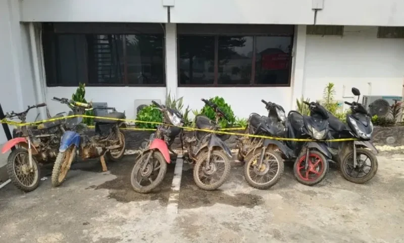 Polres Sijunjung mengamankan tujuh motor dan seorang pria dalam Operasi Jaran 2026 terkait dugaan kasus curanmor. (Foto: Polda Sumbar)