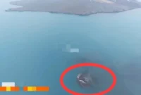 Daratan baru Gunung Anak Krakatau. (Foto: Ist)