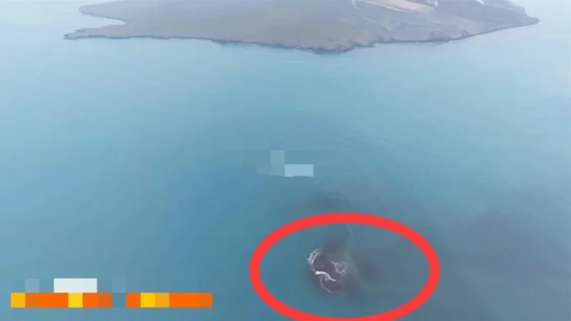 Daratan baru Gunung Anak Krakatau. (Foto: Ist)