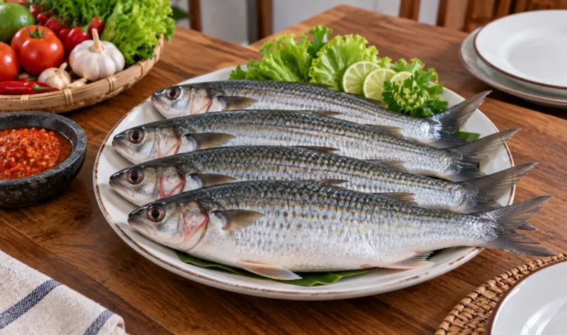 Ilustrasi ikan belanak. (Foto: AI Generated)
