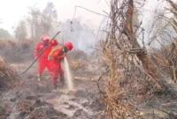 Proses pemadaman kebakaran hutan dan lahan (karhutla)