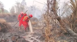 Proses pemadaman kebakaran hutan dan lahan (karhutla)