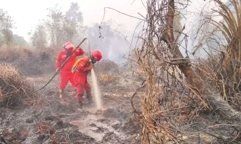 Proses pemadaman kebakaran hutan dan lahan (karhutla)
