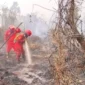 Proses pemadaman kebakaran hutan dan lahan (karhutla)