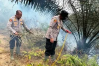 Kapolres Dharmasraya AKBP Kartyana Widyarso Wardoyo Putro terjun ke lokasi karhutla di Nagari Panyubarangan, Kecamatan Timpeh, Kabupaten Dharmasraya, Rabu (9/9/2026). (Foto: Polda Sumbar)