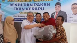 Ketua DPRD Sumbar Muhidi menyerahkan bibit ikan kerapu dan pakan kepada Pokdakan Teluk Buo Indah. (Foto: Ist) 