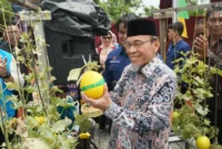 Wakil Wali Kota Padang Maigus Nasir panen melon di KUBE Mego Hydrofarm Indonesia, Kelurahan Pisang, Kecamatan Pauh, Kamis (24/9/2026). (Foto: Pemko Padang)