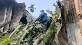 Tim Rescue BPBD Padang membersihkan material pohon tumbang yang menimpa bagian dapur rumah warga di RT 01 RW 04 Kelurahan Bandar Buat, Kecamatan Lubuk Kilangan, Senin (14/9/2026). (Foto: BPBD Padang)