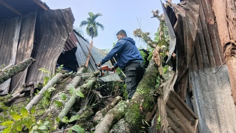 Tim Rescue BPBD Padang membersihkan material pohon tumbang yang menimpa bagian dapur rumah warga di RT 01 RW 04 Kelurahan Bandar Buat, Kecamatan Lubuk Kilangan, Senin (14/9/2026). (Foto: BPBD Padang)
