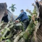 Tim Rescue BPBD Padang membersihkan material pohon tumbang yang menimpa bagian dapur rumah warga di RT 01 RW 04 Kelurahan Bandar Buat, Kecamatan Lubuk Kilangan, Senin (14/9/2026). (Foto: BPBD Padang)