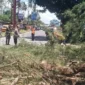 Petugas membersihkan material pohon tumbang di Jalan Adinegoro, Kota Padang, Senin (28/9/2026). (Foto: BPBD Padang