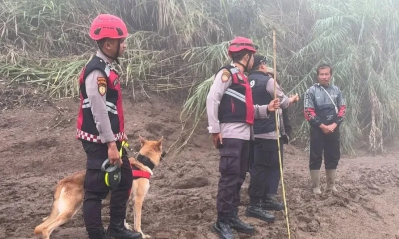 Personel Unit Polsatwa Ditsamapta Polda Sumbar bersama anjing pelacak K9 melakukan penyisiran di sepanjang jalur aliran air bah di Kabupaten Solok, Kamis (24/9/2026). (Foto: Polda Sumbar)