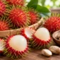 Ilustrasi rambutan dan bijinya. (Foto: AI Generated)