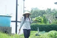 SPPG wajib melibatkan pelaku usaha lokal dalam rantai pasok MBG. (Foto: Biro Hukum dan Humas BGN)