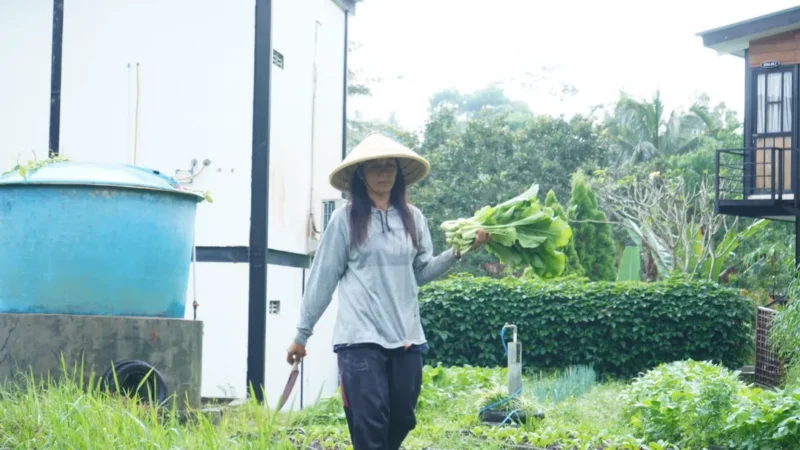 SPPG wajib melibatkan pelaku usaha lokal dalam rantai pasok MBG. (Foto: Biro Hukum dan Humas BGN)