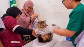 Foto: Ditjen PKH Kementan.