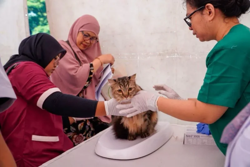 Foto: Ditjen PKH Kementan.