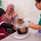 Foto: Ditjen PKH Kementan.