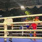 Kickboxing Porprov Sumbar 2026. (Foto: Pemko Padang)