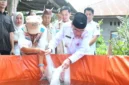 Wakil Wali Kota Padang, Maigus Nasir menebarkan bibit ikan saat meresmikan Kampung Budi Daya Ikan Air Tawar di kawasan Koto Parak, Jalan Djamaluddin Wak Ketok, Kelurahan Pisang, Kecamatan Pauh, Rabu (28/10/2026). (Foto: Pemko Padang)