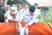 Wakil Wali Kota Padang, Maigus Nasir menebarkan bibit ikan saat meresmikan Kampung Budi Daya Ikan Air Tawar di kawasan Koto Parak, Jalan Djamaluddin Wak Ketok, Kelurahan Pisang, Kecamatan Pauh, Rabu (28/10/2026). (Foto: Pemko Padang)
