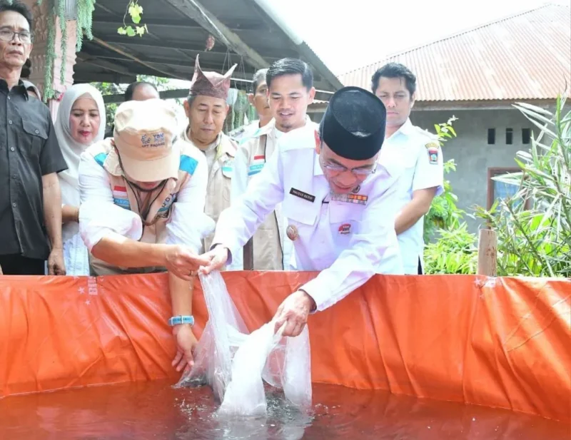 Wakil Wali Kota Padang, Maigus Nasir menebarkan bibit ikan saat meresmikan Kampung Budi Daya Ikan Air Tawar di kawasan Koto Parak, Jalan Djamaluddin Wak Ketok, Kelurahan Pisang, Kecamatan Pauh, Rabu (28/10/2026). (Foto: Pemko Padang)