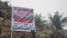 Polres Dharmasraya memasang garis polisi dan papan larangan di lahan bekas karhutla di Bukit Lantak, Tabek, Kecamatan Timpeh. (Foto: Diskominfo Dharmasraya)