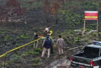 Kemenhut menjatuhkan sanksi kepada 32 perusahaan terkait karhutla dan memproses 125 subjek hukum atas dugaan tindak pidana kebakaran hutan. (Foto: Kemenhut)
