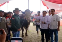 Kontes Sapi APPSI Piala Presiden 2026 di kawasan Stadion Pakansari, Kabupaten Bogor, Jawa Barat, Minggu (4/10/2026). (Foto: Ditjen PKH Kementan)