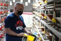 Koperasi Desa dan BUM Desa dilibatkan dalam rantai pasok MBG untuk memasok pangan dan jasa pendukung sesuai standar BGN. (Foto: Biro Hukum dan Humas BGN)