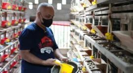 Koperasi Desa dan BUM Desa dilibatkan dalam rantai pasok MBG untuk memasok pangan dan jasa pendukung sesuai standar BGN. (Foto: Biro Hukum dan Humas BGN)